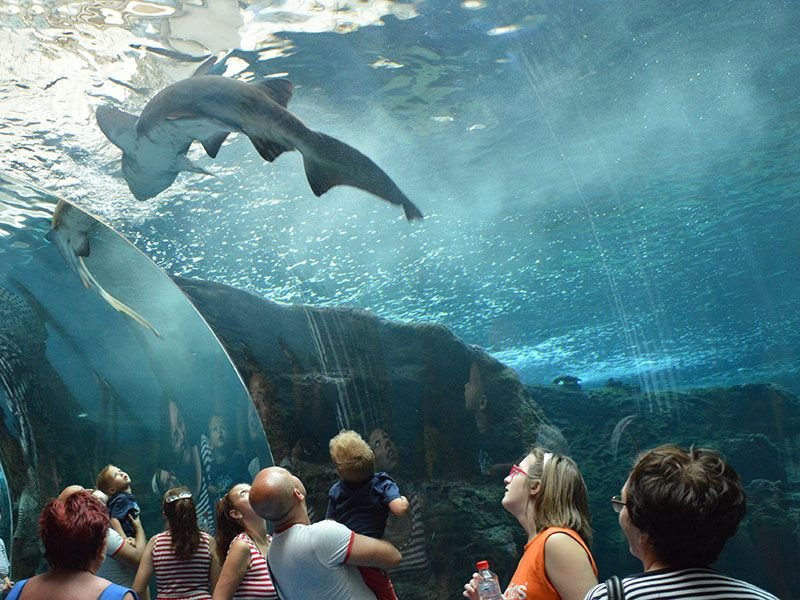Cretaquarium & Palace of Malia — Private tours, Crete